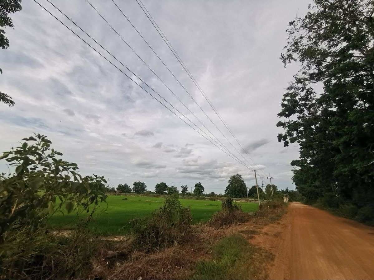 ขายที่ดินสุโขทัย : ขายที่ดิน 1 ไร่ บ้านกล้วย สุโขทัย แปลงมุม  ติดถนน น้ำไฟเข้าถึง 