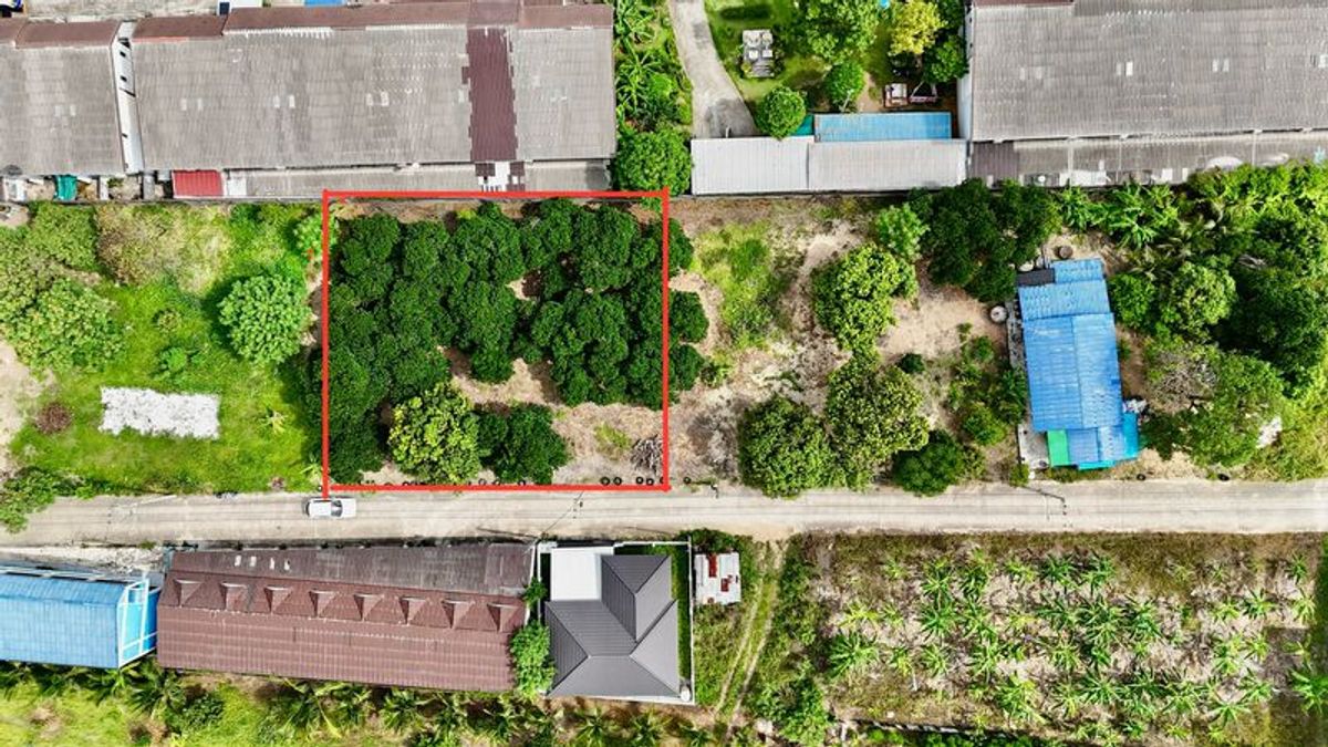 ขายที่ดินศรีราชา แหลมฉบัง บ้านบึง : ขายที่ดินเปล่าแปลงสวย แหล่งชุมชน ราคาดี ใกล้สวนเสือศรีราชา ชลบุรี 