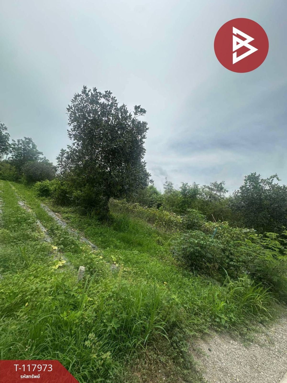 ขายที่ดินราชบุรี : ขายที่ดิน เนื้อที่ 80 ตร.วา จอมบึง ราชบุรี