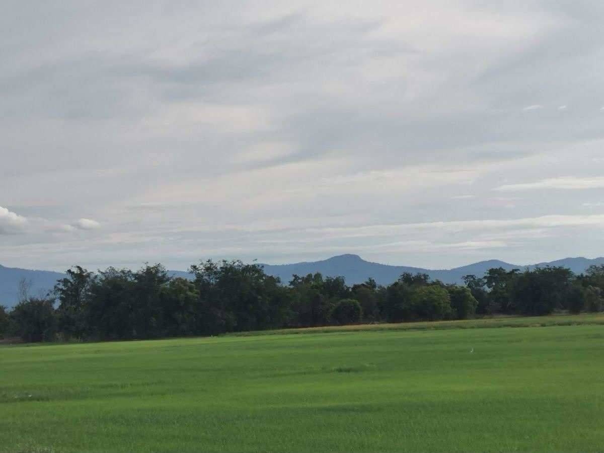 ขายที่ดินสุโขทัย : ขายที่ดิน 1 ไร่ บ้านกล้วย สุโขทัย แปลงมุม  ติดถนน น้ำไฟเข้าถึง 