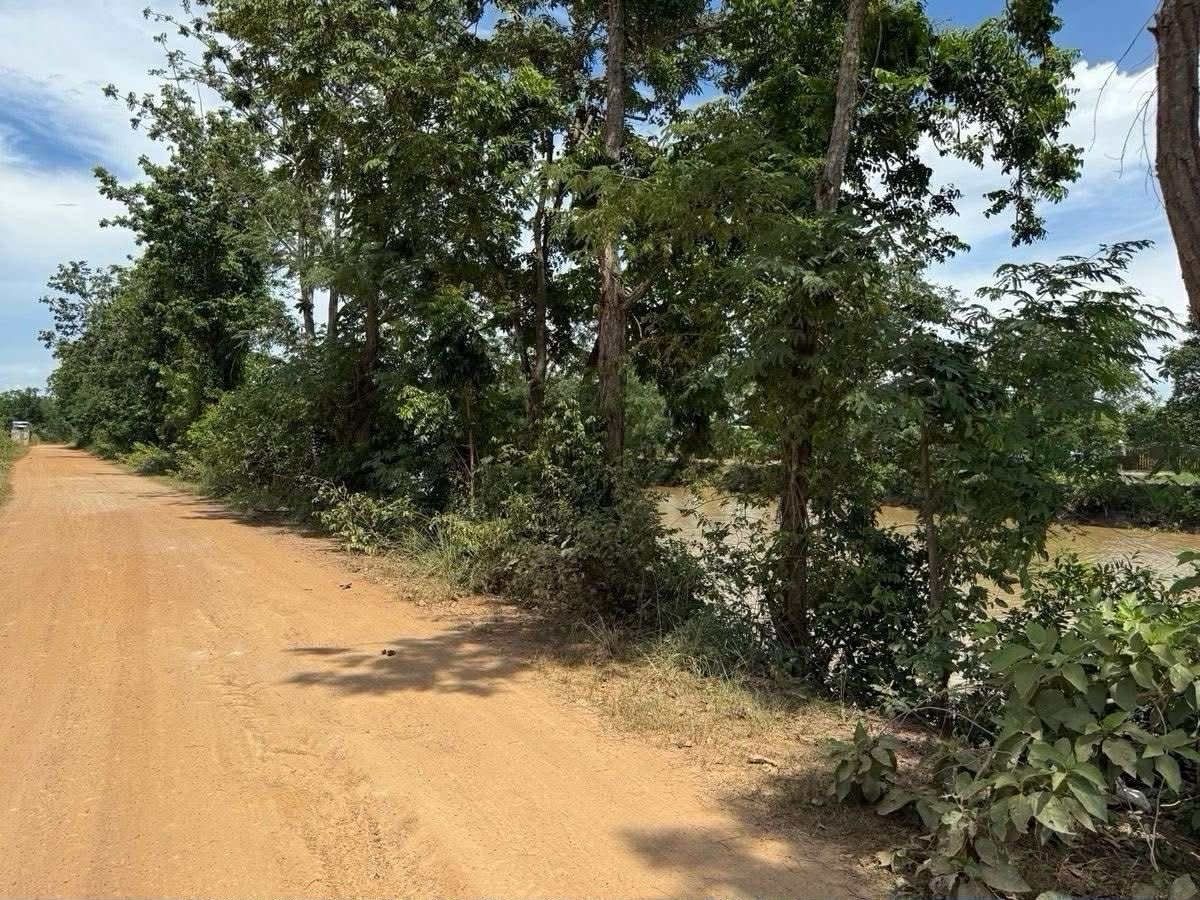 ขายที่ดินสุโขทัย : ขายที่ดิน 1 ไร่ บ้านกล้วย สุโขทัย แปลงมุม  ติดถนน น้ำไฟเข้าถึง 