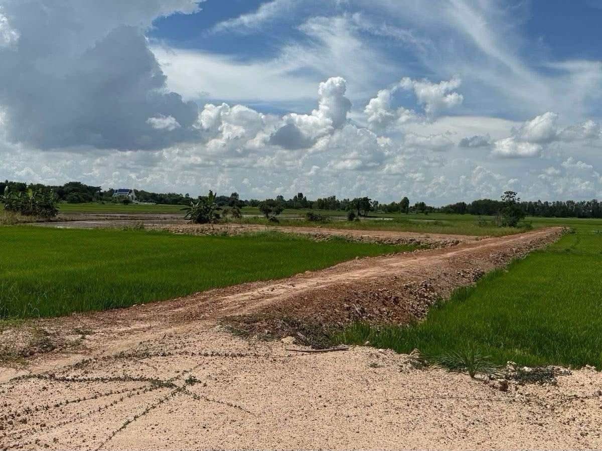 ขายที่ดินสุโขทัย : ขายที่ดิน 1 ไร่ บ้านกล้วย สุโขทัย แปลงมุม  ติดถนน น้ำไฟเข้าถึง 