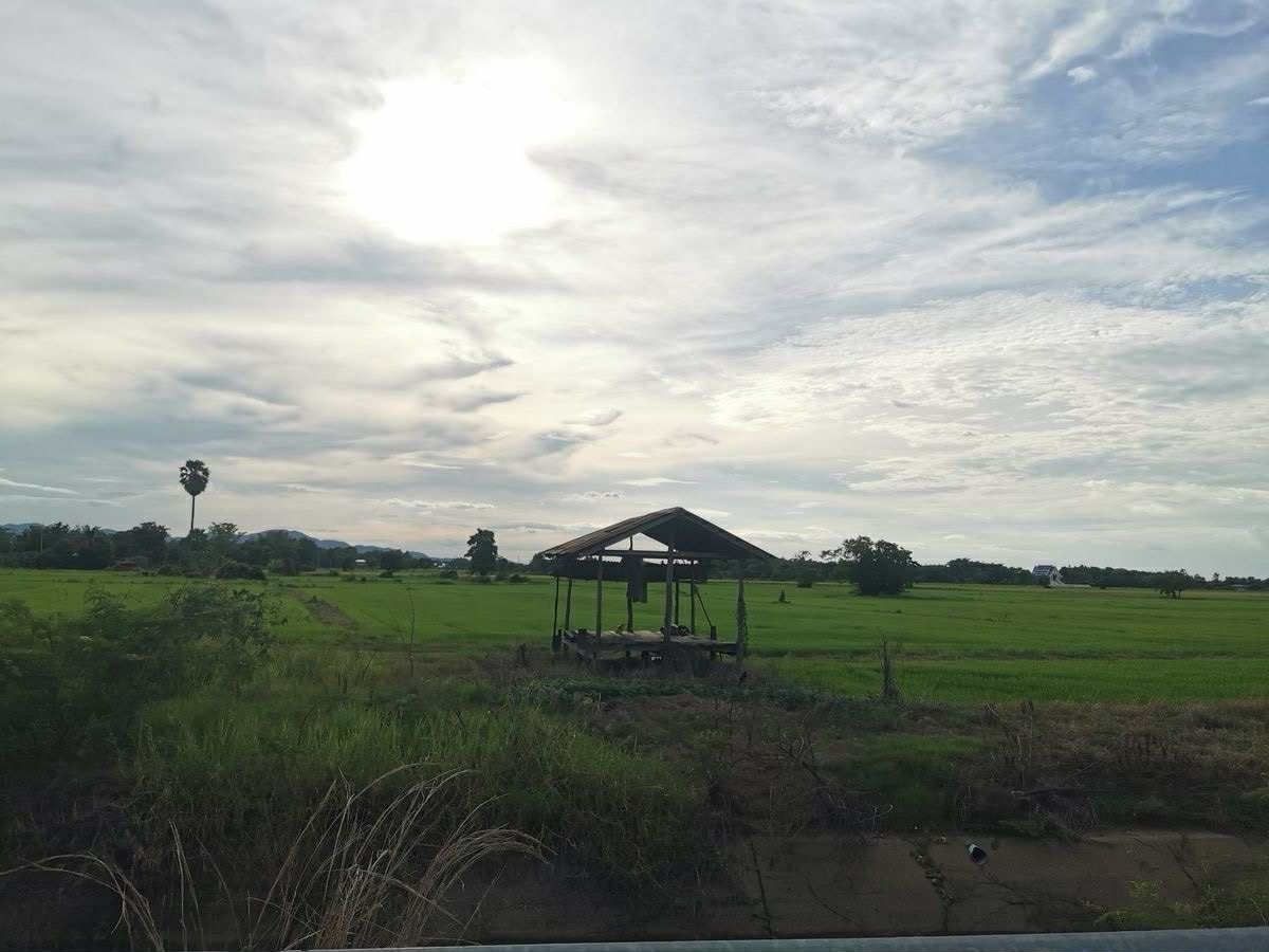 ขายที่ดินสุโขทัย : ขายที่ดิน 1 ไร่ บ้านกล้วย สุโขทัย แปลงมุม  ติดถนน น้ำไฟเข้าถึง 