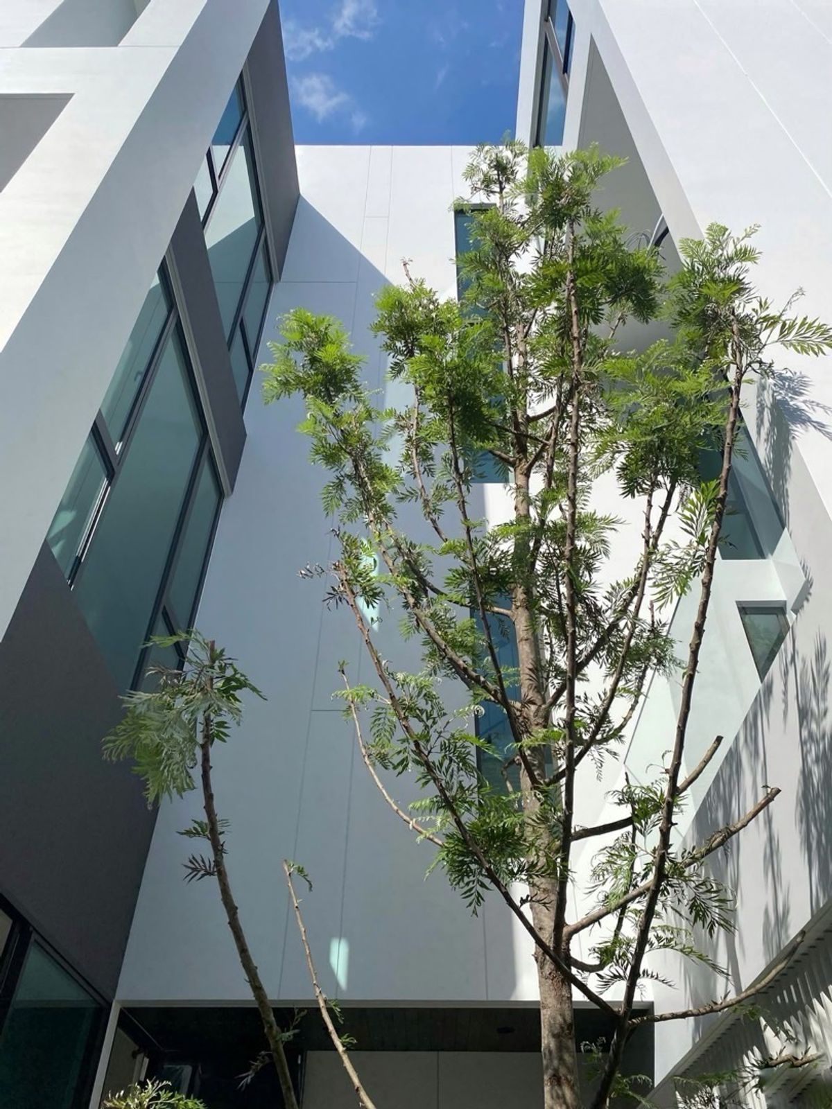 For SaleChaengwatana, Muangthong : House for sale, Ventier, Prachachuen, 3 bedrooms, 4 bathrooms, near Chaeng Watthana Government Center, only 12.4 MB !!