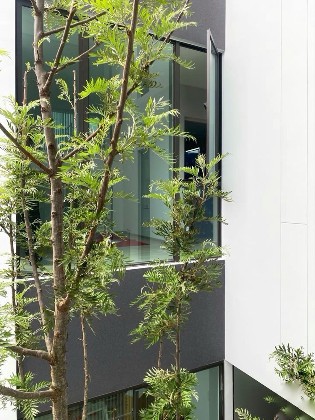 For SaleChaengwatana, Muangthong : House for sale, Ventier, Prachachuen, 3 bedrooms, 4 bathrooms, near Chaeng Watthana Government Center, only 12.4 MB !!