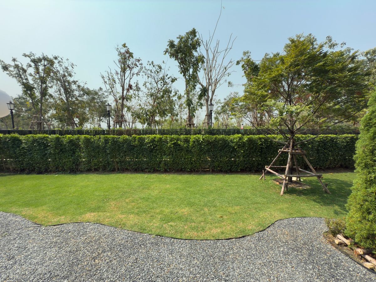 For SaleHousePathum Thani,Rangsit, Thammasat : Reignwood Park Project, Sereno Residence 5 BED 4 Bath, only 42 MB. Contact 086-795-9997.