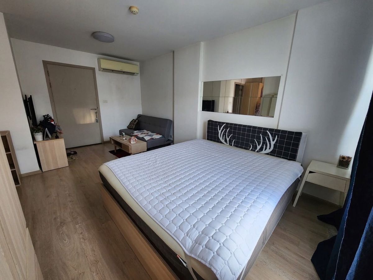 ให้เช่าคอนโดอ่อนนุช อุดมสุข : ว่าง 1 ก.ย 68 ที่ Elio Del Ray Sukhumvit 64 Studio Room เฟอร์นิเจอร์ครบ ขนาด 26.75 ตร.ม. ราคา 10,000 บาท
