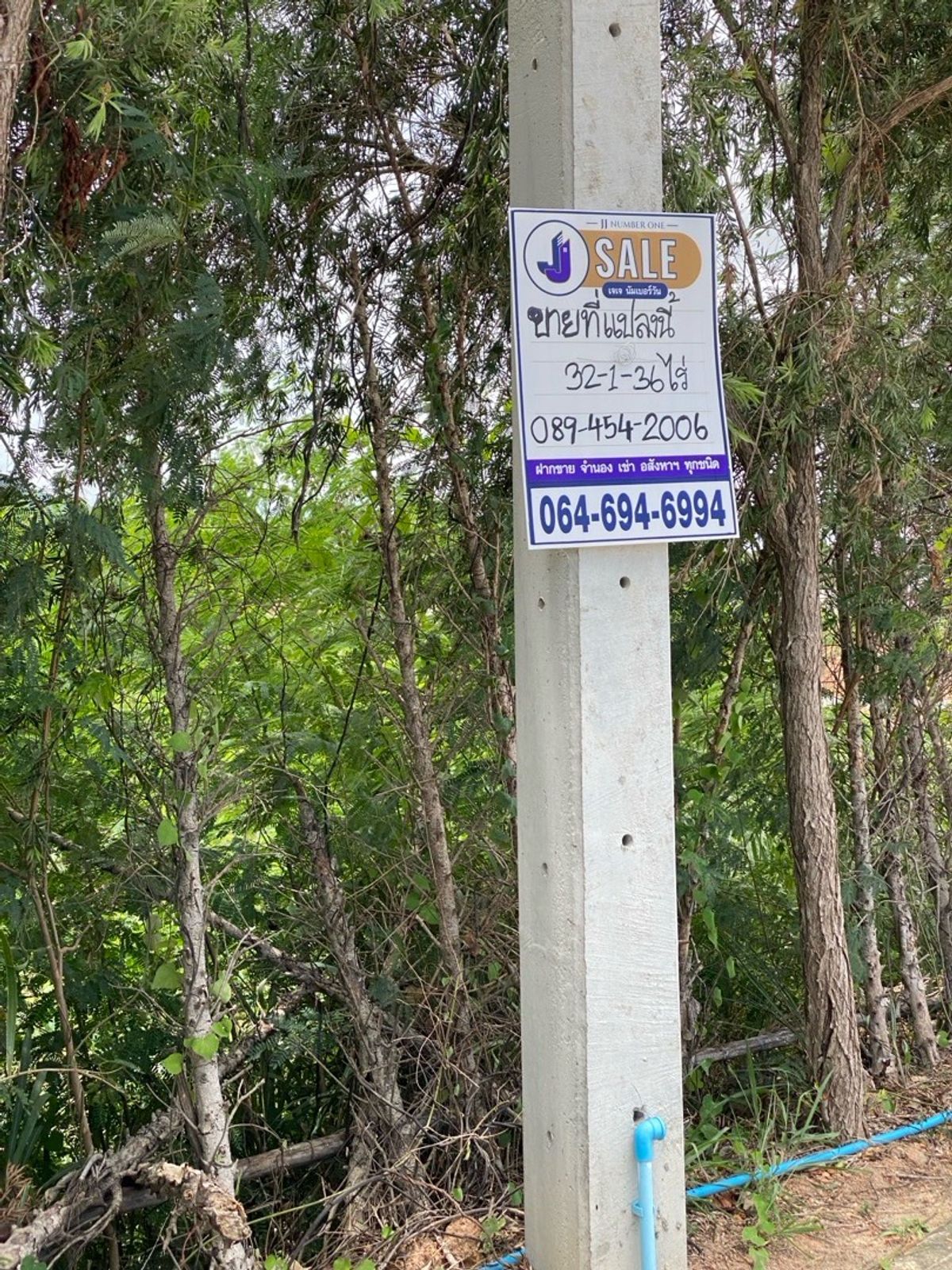 ขายที่ดินระยอง : ขายที่ดินบ้านฉาง ระยอง, หาดพลา1) 32-1-36ไร่, 2)หาดพลา 1-2-9ไร่