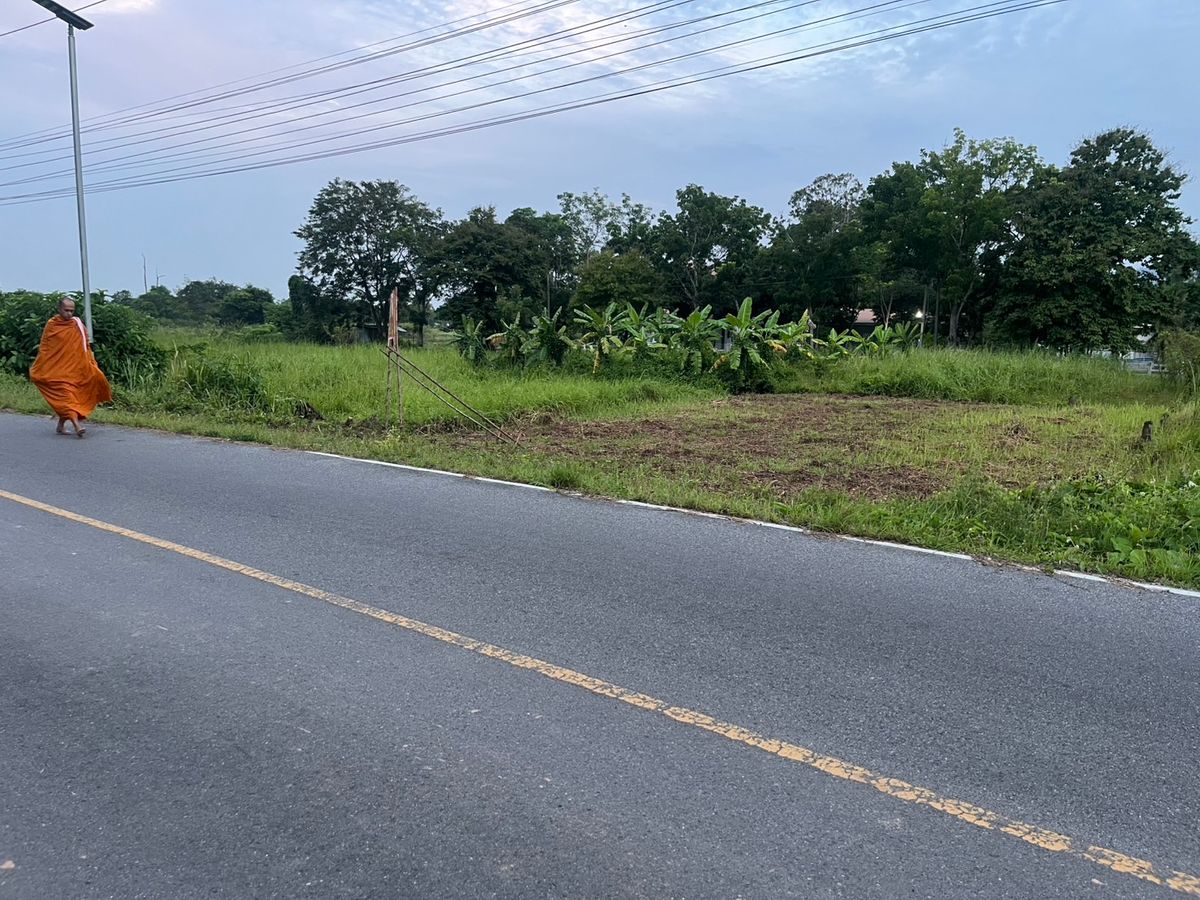For SaleLandNakhon Nayok : Selling empty land with a title deed, the view of the Khao 98 square wah, wide page on the community road.