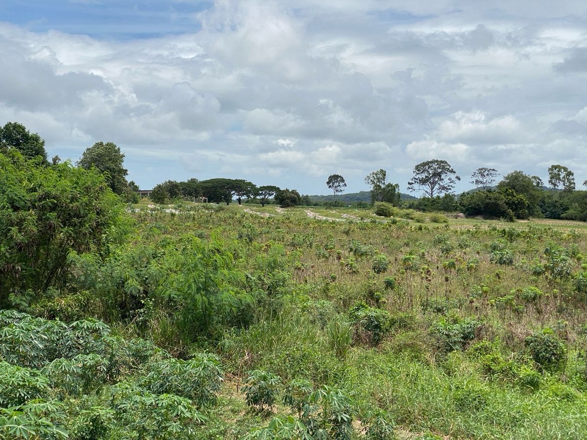 ขายที่ดินระยอง : ขายที่ดินบ้านฉาง ระยอง, หาดพลา1) 32-1-36ไร่, 2)หาดพลา 1-2-9ไร่