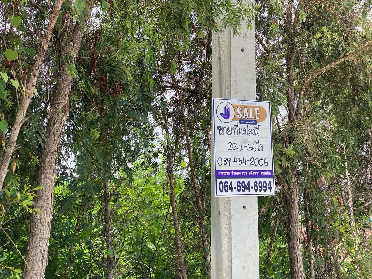 ขายที่ดินระยอง : ขายที่ดินบ้านฉาง ระยอง, หาดพลา1) 32-1-36ไร่, 2)หาดพลา 1-2-9ไร่