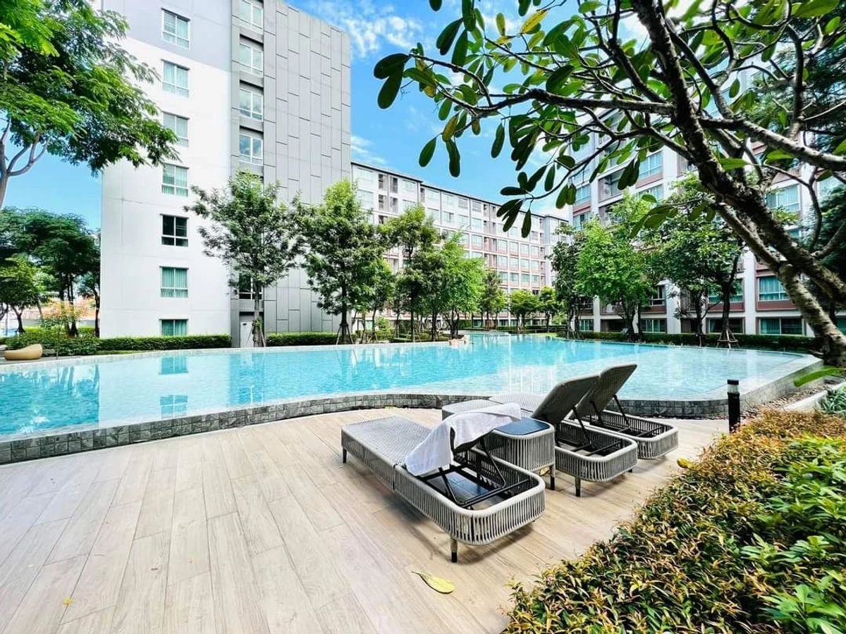 ให้เช่าคอนโดเชียงใหม่ : 🏢ให้เช่า Dcondo Ping ติดเซ็นทรัลเฟสติวัล – 2 ห้องนอน วิวสระ + สวน ชั้น 5 – 22,000 บาทเดือน 🌳🏊‍♂️