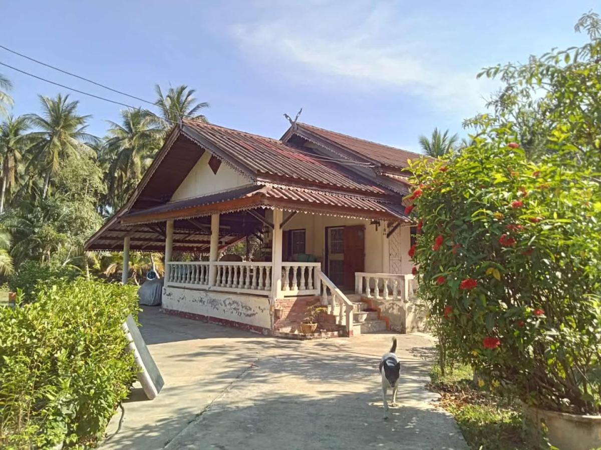 ขายบ้านสมุทรสงคราม : ขายบ้านเดี่ยวพร้อมที่ดิน 2ไร่27 ตร.วา  สมุทรสงคราม คลองเขิน เมืองสมุทรสงคราม สมุทรสงคราม CX-127440