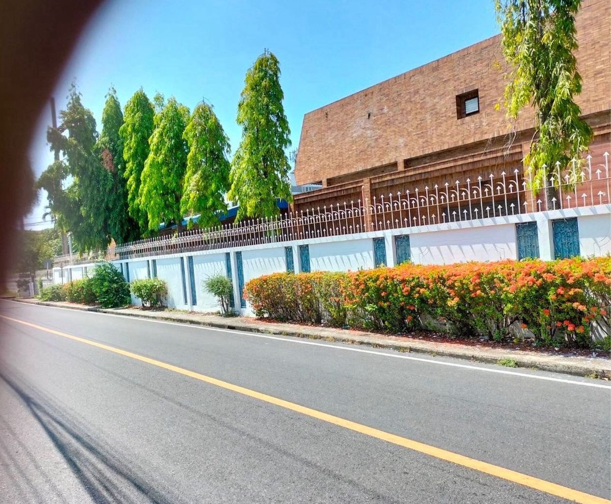 ขายที่ดินหาดใหญ่ สงขลา : ขายที่ดินในเมือง สงขลา, 30 ไทรงาม 