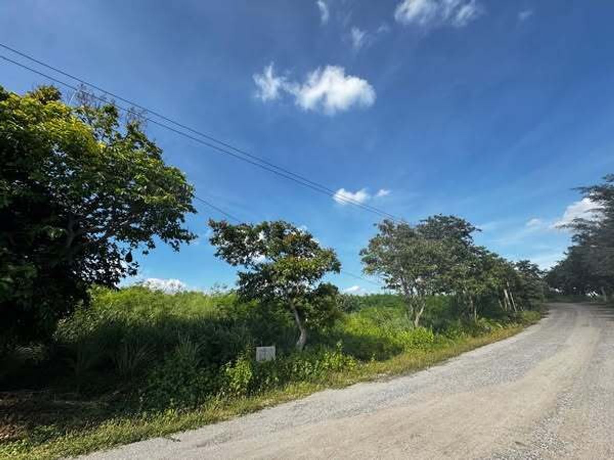 For SaleLandPak Chong KhaoYai : Beautiful land for sale on the hill, Pak Chong District, Gold, good weather, cool wind all day.