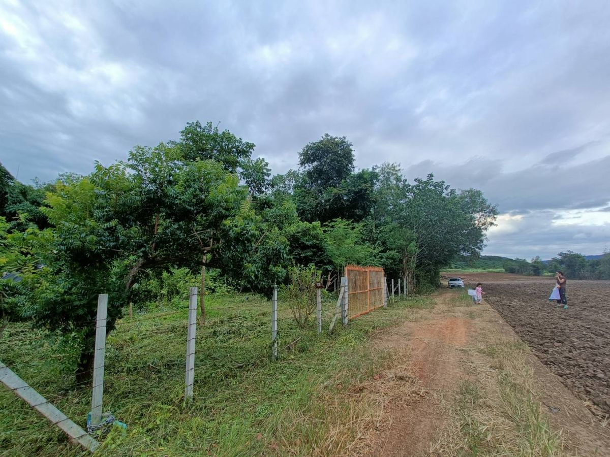 For SaleLandPak Chong KhaoYai : Land for sale 1 Rai, perfect location, Pak Chong, Nakhon Ratchasima