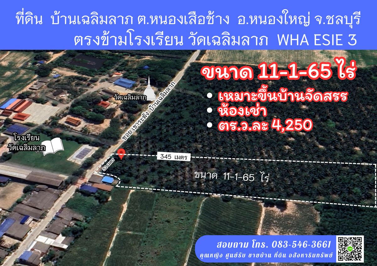 ขายที่ดินพัทยา บางแสน ชลบุรี สัตหีบ : ขายที่ดิน เหมาะสร้างโครงการบ้าน ห้องเช่า ใกล้นิคม WHA ESIE 3 หนองใหญ่ ชลบุรี