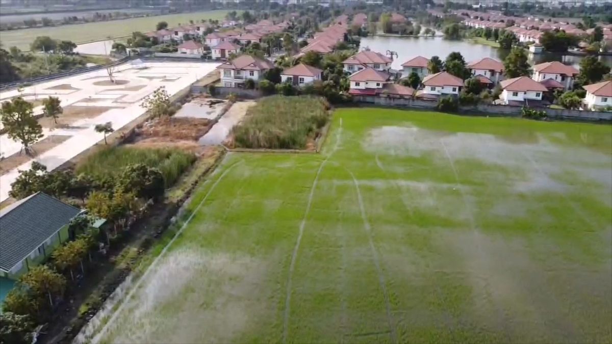 ขายที่ดินลาดกระบัง สุวรรณภูมิ : โอกาสทอง! ขายที่ดินแปลงสวย 3 ไร่ 1 งาน 63 ตร.วา, หน้ากว้าง 50 เมตร, เหมาะลงทุนจัดสรร หรือ ธุรกิจ, เก็งกำไร ทำเลเติบโตเร็ว, ทำเลทอง ลาดกระบัง ใกล้สนามบินสุวรรณภูมิ