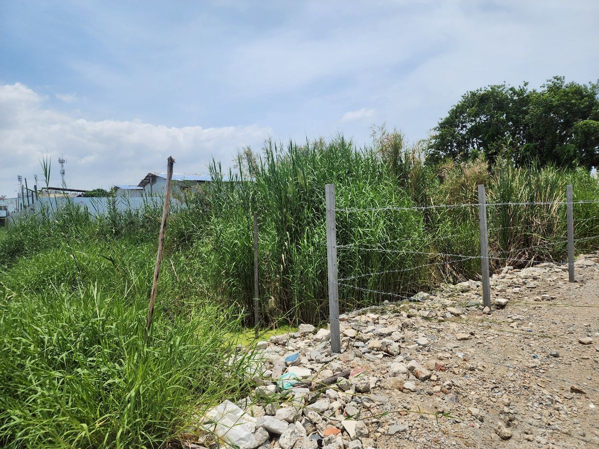 ขายที่ดินสมุทรปราการ สำโรง : ขายที่ดินปากน้ำ สมุทรปราการ ใกล้ BTS ปากน้ำ เหมาะสร้างออฟฟิศ อพาร์ทเมนท์