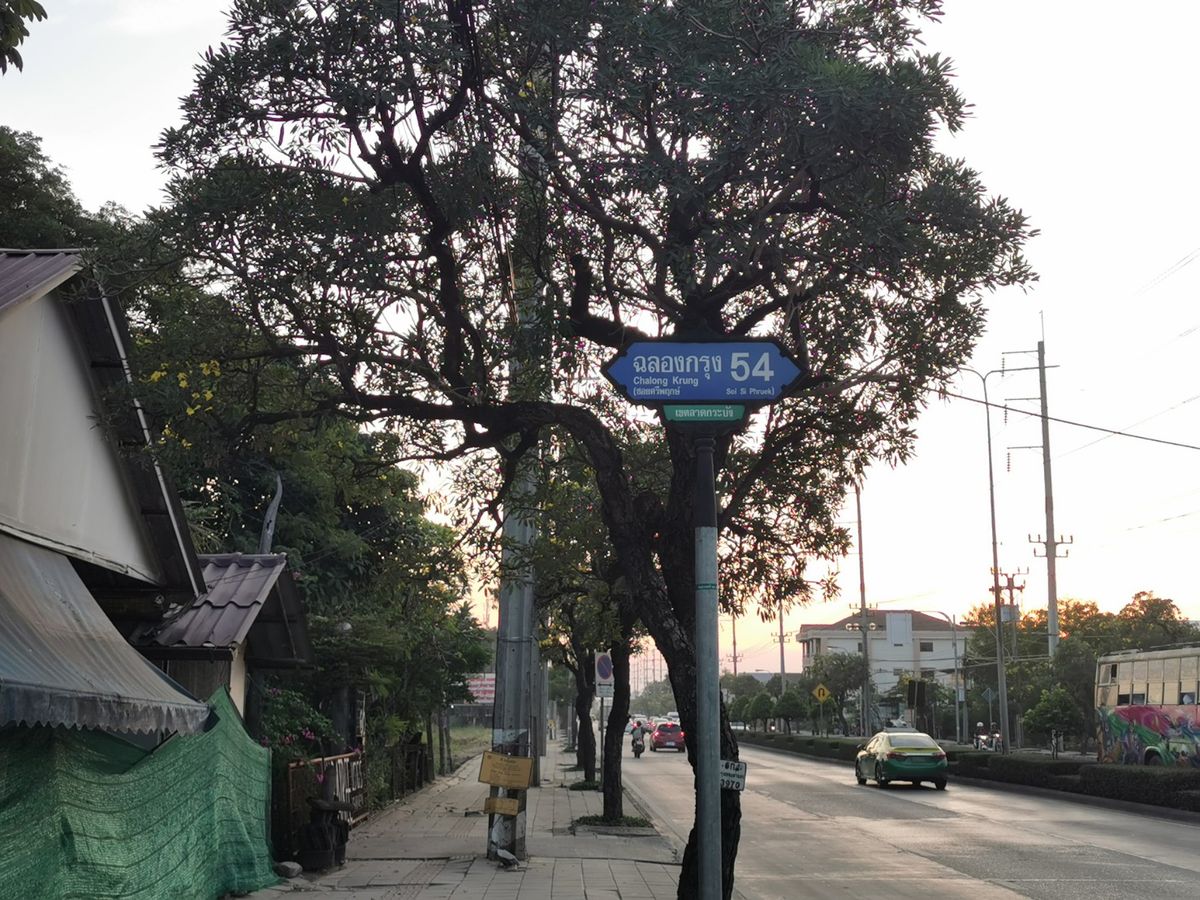 ขายที่ดินลาดกระบัง สุวรรณภูมิ : โอกาสทอง! ขายที่ดินแปลงสวย 3 ไร่ 1 งาน 63 ตร.วา, หน้ากว้าง 50 เมตร, เหมาะลงทุนจัดสรร หรือ ธุรกิจ, เก็งกำไร ทำเลเติบโตเร็ว, ทำเลทอง ลาดกระบัง ใกล้สนามบินสุวรรณภูมิ