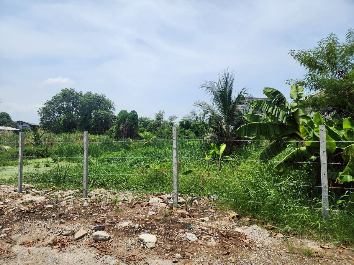 ขายที่ดินสมุทรปราการ สำโรง : ขายที่ดินปากน้ำ สมุทรปราการ ใกล้ BTS ปากน้ำ เหมาะสร้างออฟฟิศ อพาร์ทเมนท์