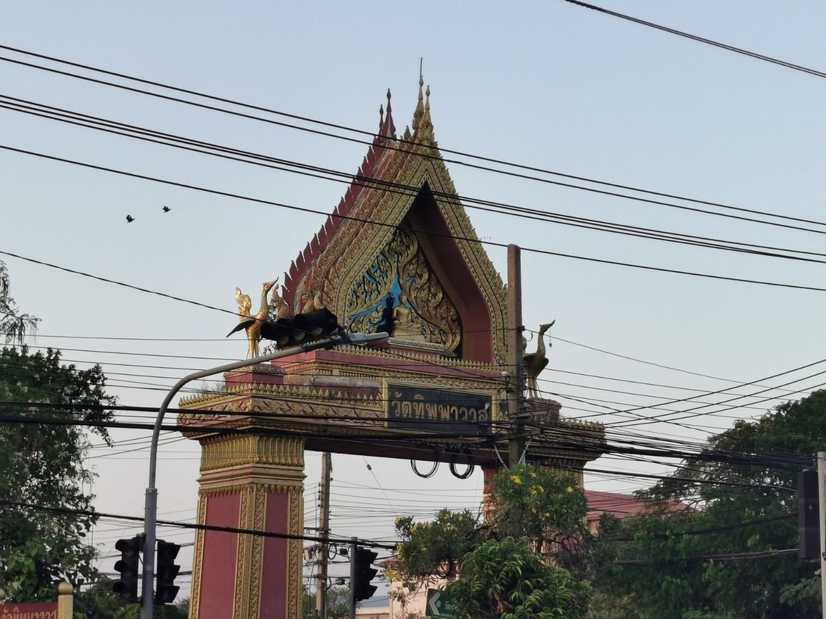 ขายที่ดินลาดกระบัง สุวรรณภูมิ : โอกาสทอง! ขายที่ดินแปลงสวย 3 ไร่ 1 งาน 63 ตร.วา, หน้ากว้าง 50 เมตร, เหมาะลงทุนจัดสรร หรือ ธุรกิจ, เก็งกำไร ทำเลเติบโตเร็ว, ทำเลทอง ลาดกระบัง ใกล้สนามบินสุวรรณภูมิ