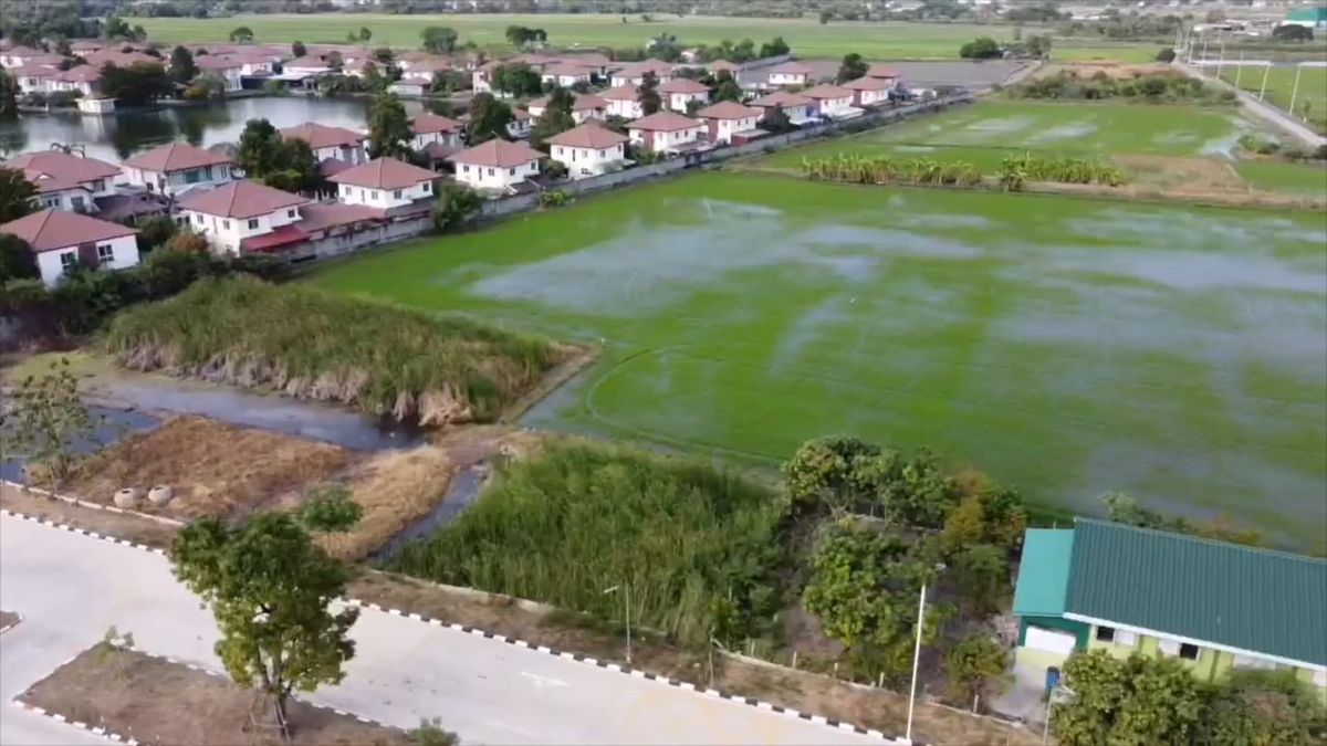 ขายที่ดินลาดกระบัง สุวรรณภูมิ : โอกาสทอง! ขายที่ดินแปลงสวย 3 ไร่ 1 งาน 63 ตร.วา, หน้ากว้าง 50 เมตร, เหมาะลงทุนจัดสรร หรือ ธุรกิจ, เก็งกำไร ทำเลเติบโตเร็ว, ทำเลทอง ลาดกระบัง ใกล้สนามบินสุวรรณภูมิ