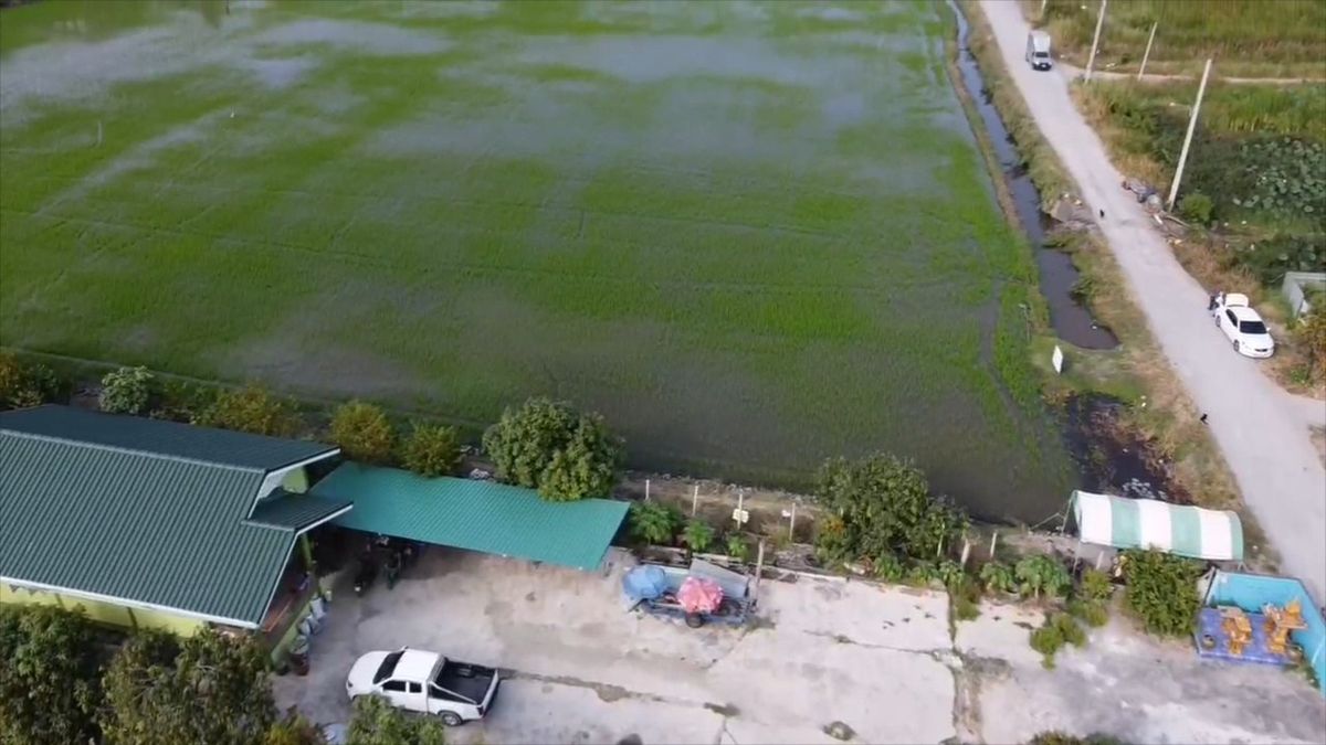 ขายที่ดินลาดกระบัง สุวรรณภูมิ : โอกาสทอง! ขายที่ดินแปลงสวย 3 ไร่ 1 งาน 63 ตร.วา, หน้ากว้าง 50 เมตร, เหมาะลงทุนจัดสรร หรือ ธุรกิจ, เก็งกำไร ทำเลเติบโตเร็ว, ทำเลทอง ลาดกระบัง ใกล้สนามบินสุวรรณภูมิ