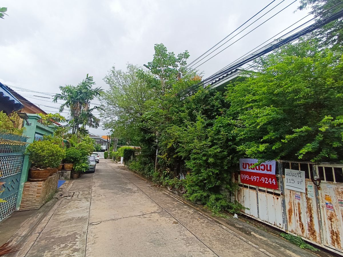 ขายที่ดินอ่อนนุช อุดมสุข : ที่ดิน 115 ตร.วา ซ.ปุณณวิถี 31 (สุขุมวิท 101)
