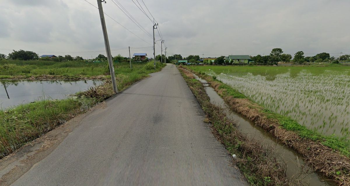 ขายที่ดินลาดกระบัง สุวรรณภูมิ : โอกาสทอง! ขายที่ดินแปลงสวย 3 ไร่ 1 งาน 63 ตร.วา, หน้ากว้าง 50 เมตร, เหมาะลงทุนจัดสรร หรือ ธุรกิจ, เก็งกำไร ทำเลเติบโตเร็ว, ทำเลทอง ลาดกระบัง ใกล้สนามบินสุวรรณภูมิ