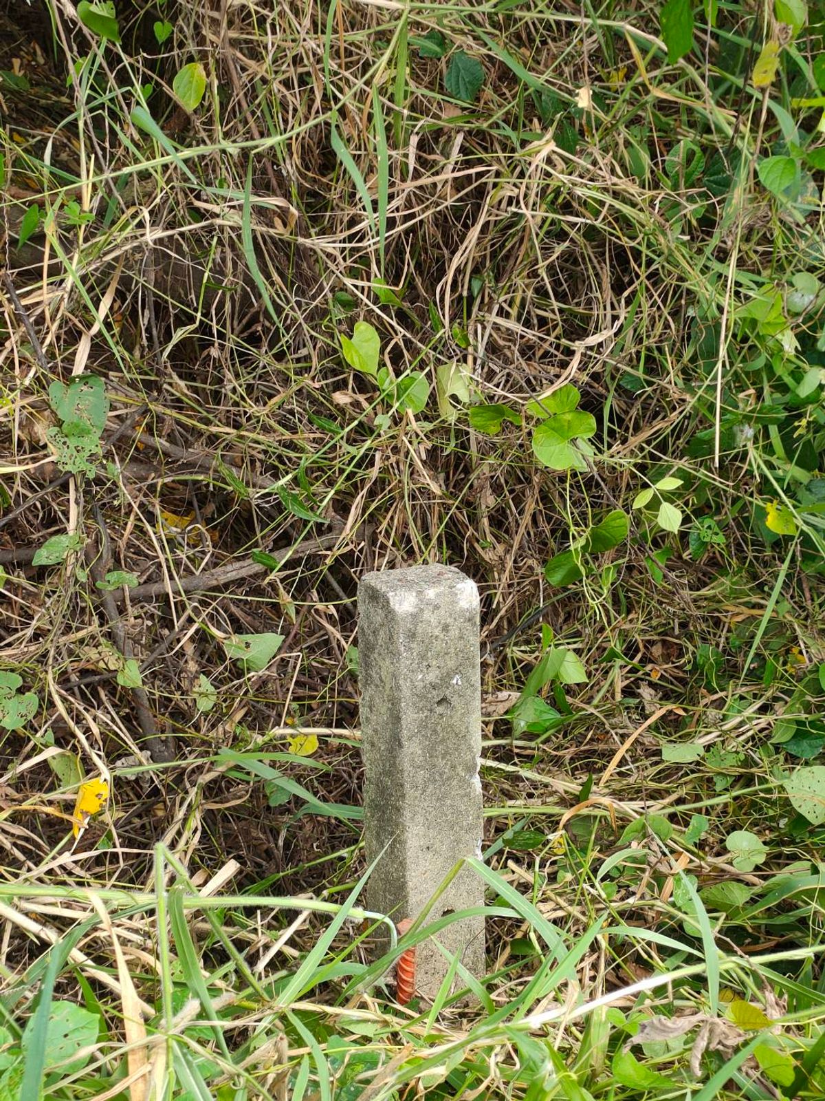 ขายที่ดินนครปฐม : ด่วน!ที่ดินแปลงมุมหน้ากว้าง, ติดถนน 6 เลน ใกล้เมือง, บนสายเศรษฐกิจพุทธมณฑล 8, 1 ไร่ 1 งาน 5 ตารางวา (505ตรว.)ใกล้แหล่งชุมชน-โรงงาน-ตลาด เหมาะลงทุน