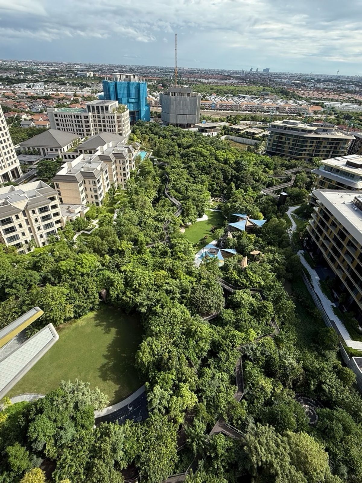ขายคอนโดบางนา แบริ่ง ลาซาล : ขายดาวน์ด่วน Whizdom The Forestias Petopia PETS LOVER CONDO 3BEDROOMS 98.16sqm The Forest View (Best Position) East + South Call 064-932-4645 KEn