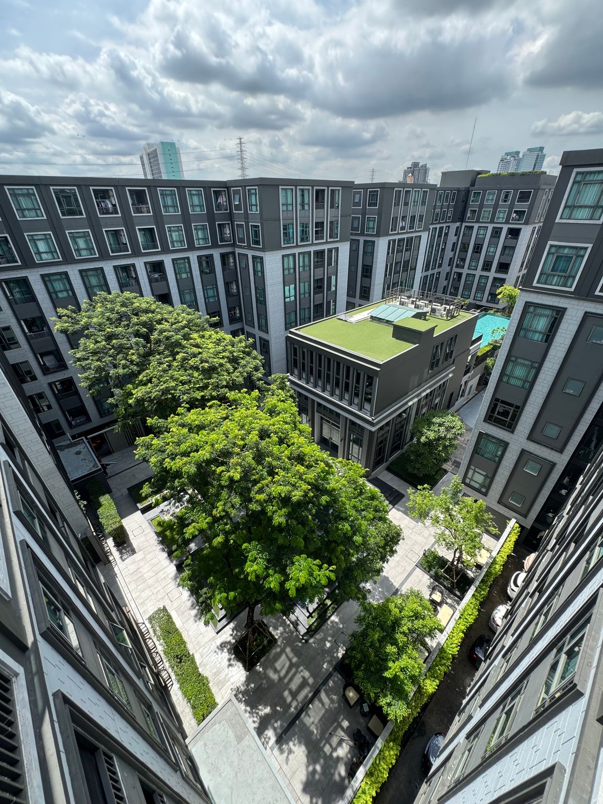 ให้เช่าคอนโดรัชดา ห้วยขวาง : Maestro19 for rent 16,000 - Pet friendly condo close to Mrt-Ratchada 