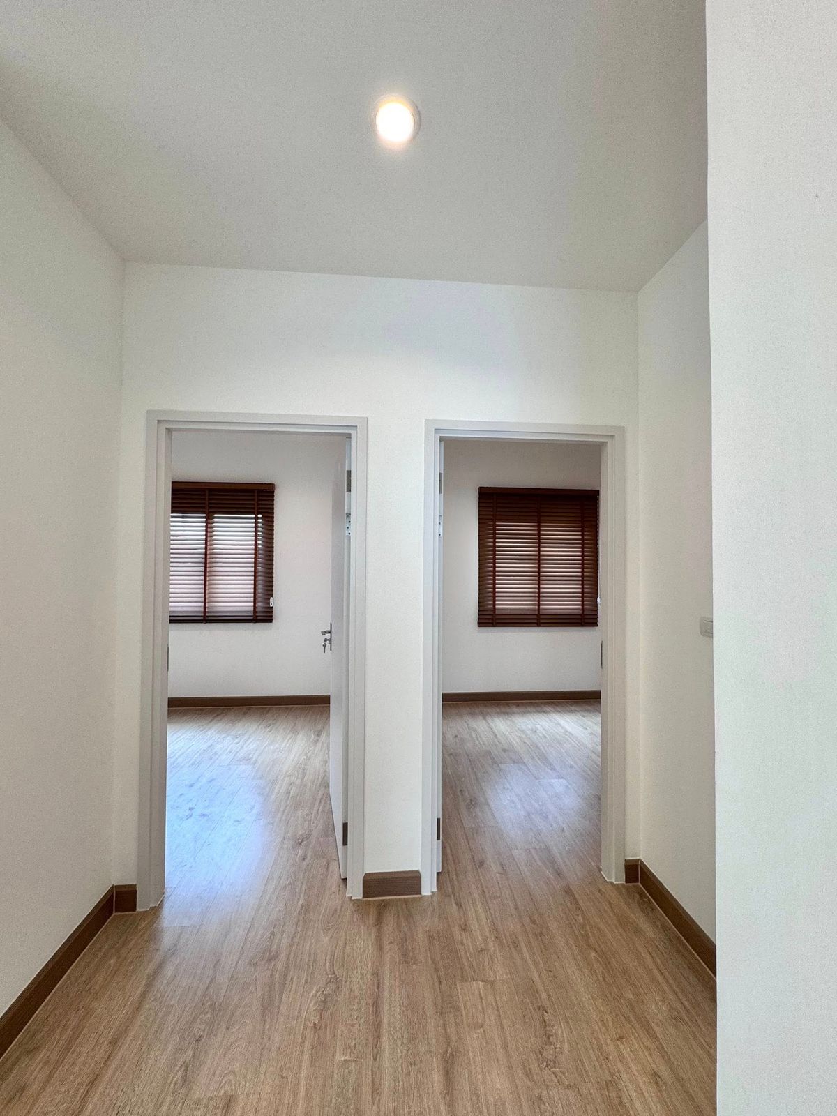 For RentHouseBangna, Bearing, Lasalle : K-6483 for rent! Como Bianca II Twin House