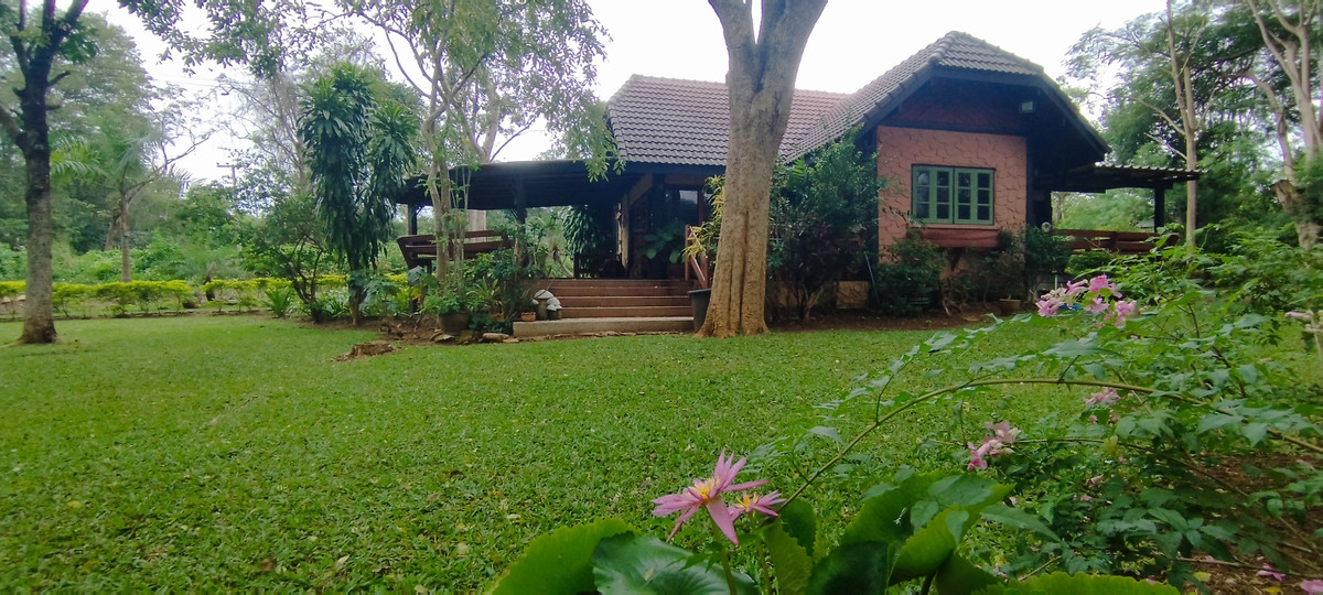 For SaleHouseKorat Nakhon Ratchasima : Pak Chong Phutawan Resort-House  in the trees for Sales