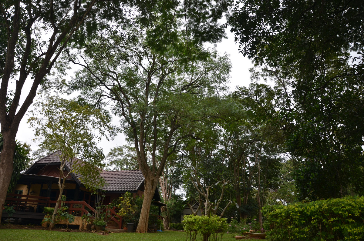 ขายบ้านโคราช นครราชสีมา : เนื้อที่ไร่กว่า ราคาแค่หกล้าน ขายด่วน บ้านพักตากอากาศ ต้นไม้ใหญ่ครึ้ม ในโครงการภูตะวัน อ.ปากช่อง