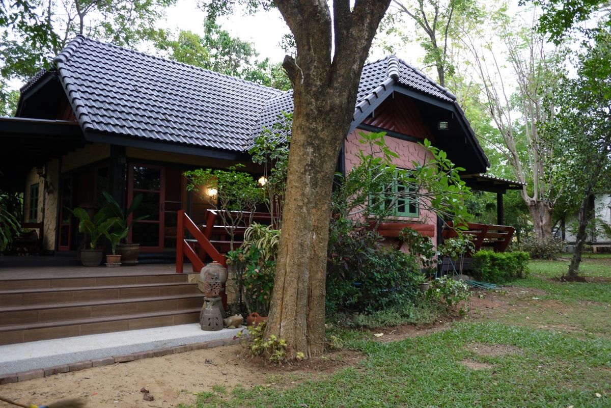 For SaleHouseKorat Nakhon Ratchasima : Pak Chong Phutawan Resort-House  in the trees for Sales
