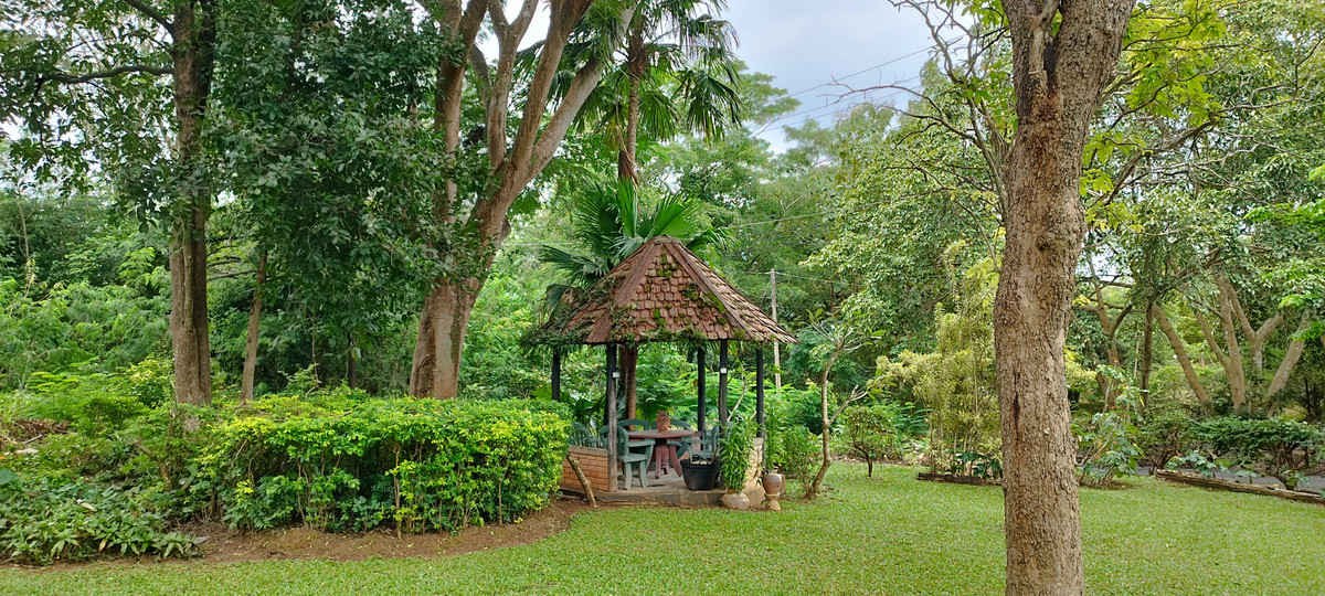 ขายบ้านโคราช นครราชสีมา : เนื้อที่ไร่กว่า ราคาแค่หกล้าน ขายด่วน บ้านพักตากอากาศ ต้นไม้ใหญ่ครึ้ม ในโครงการภูตะวัน อ.ปากช่อง