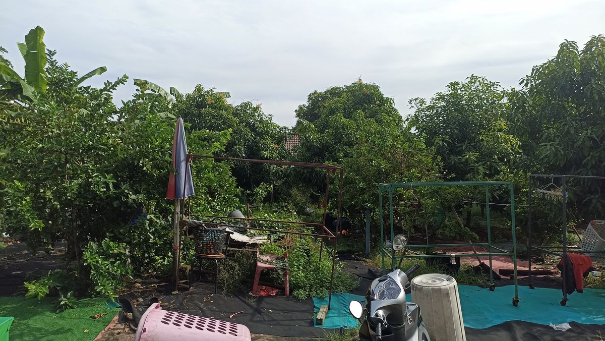 ขายที่ดินวิภาวดี ดอนเมือง หลักสี่ : ขายที่ดินเปล่า ล้อมรั้วรอบ 150 ตารางวา ใกล้  BTS สะพานใหม่