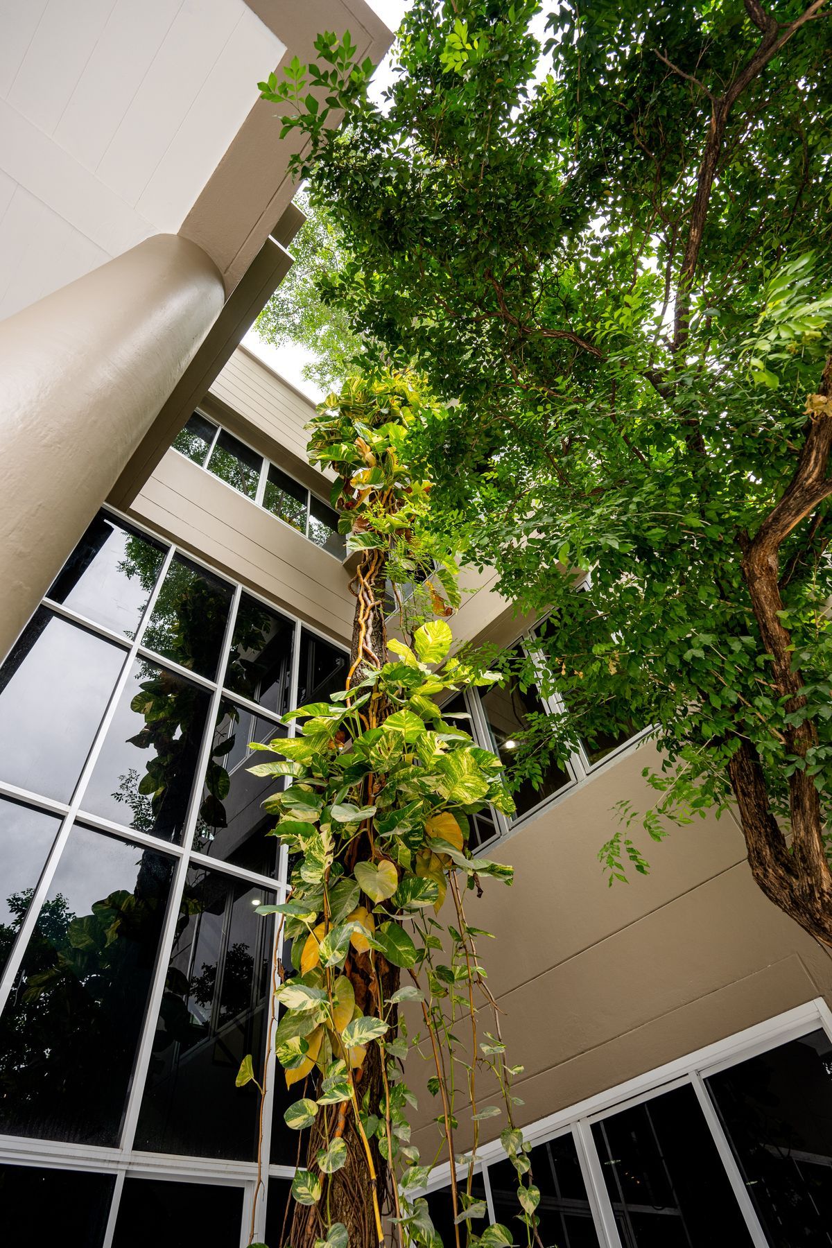 For SaleHouseSapankwai,Jatujak : 🏡 For Sale: 3-Storey Detached House in Modern Contemporary Style ✨ Fully renovated with spacious 375 sq.m. of usable area | 5 Bedrooms Prime location near MRT Chatuchak & BTS Mo Chit Surrounded by shopping malls, schools, and universities – convenient