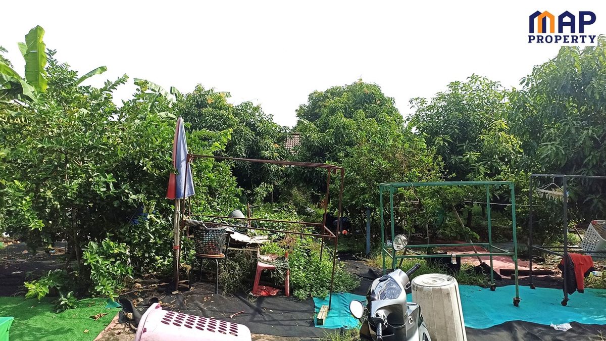 ขายที่ดินวิภาวดี ดอนเมือง หลักสี่ : ขายที่ดินเปล่า ล้อมรั้วรอบ 150 ตารางวา ใกล้  BTS สะพานใหม่