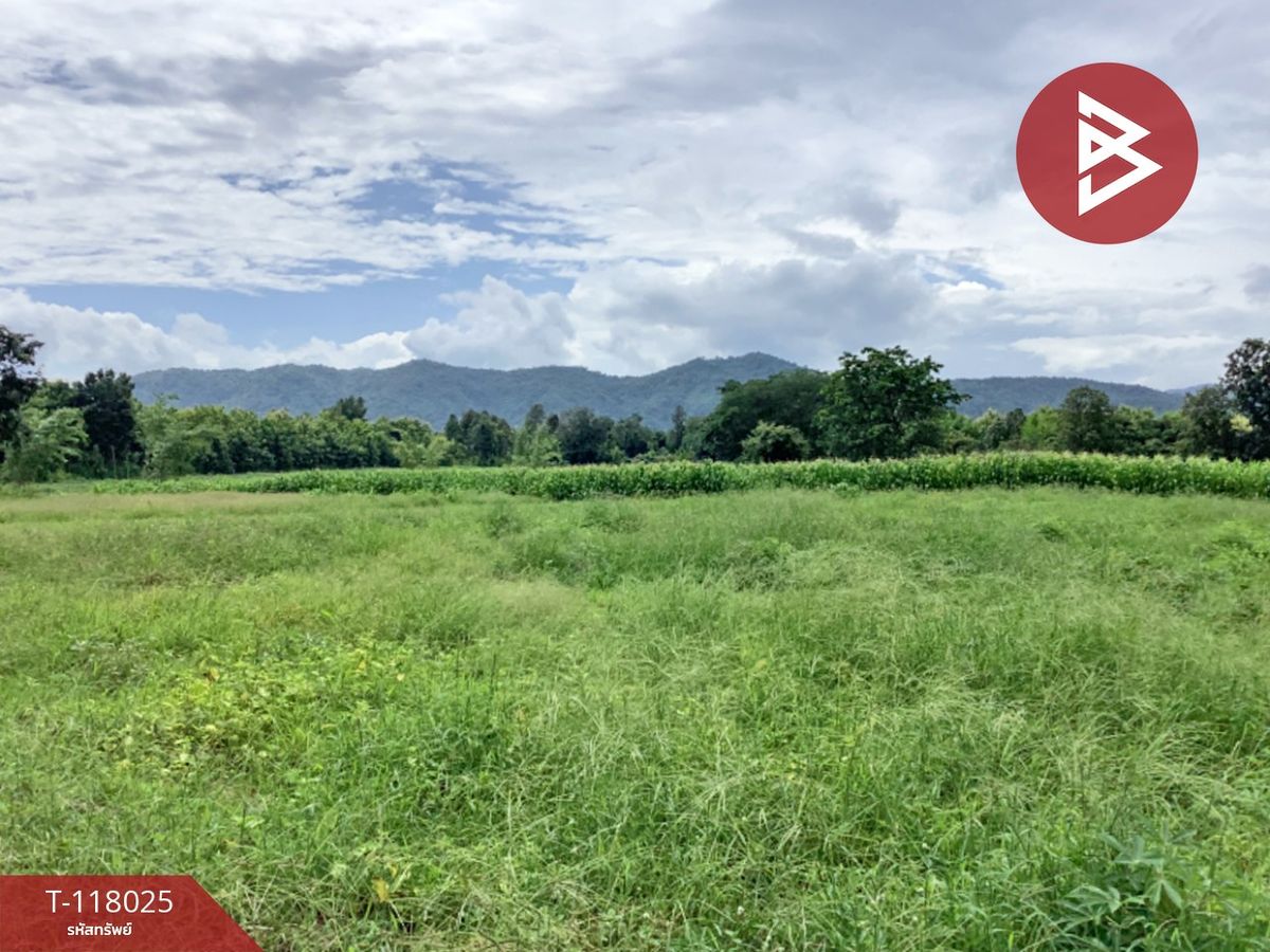 ขายที่ดินอุตรดิตถ์ : ขายที่ดิน เนื้อที่ 47 ไร่ 65 ตร.วา น้ำปาด อุตรดิตถ์