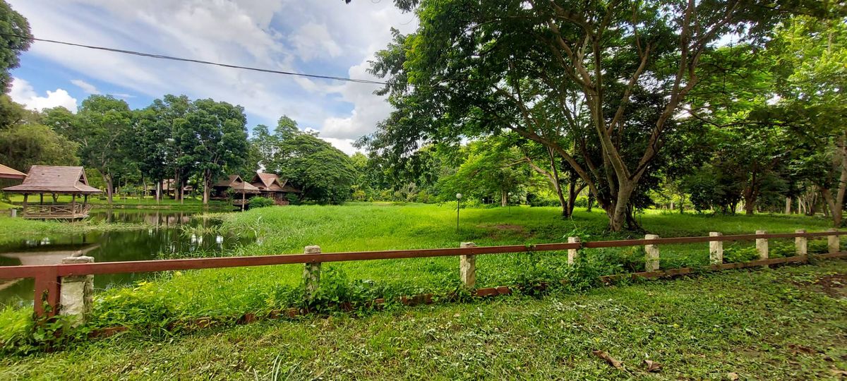For SaleLandChiang Mai : Land for sale, Rim Nam Village, Ban Nong Bua, Mae Taeng District, Chiang Mai, 1 rai area (492.5 sq.w.) *Corner plot near Thung Luang and Phu Tawan Phan Dao There are large trees, shady, beautiful natural water, with water.