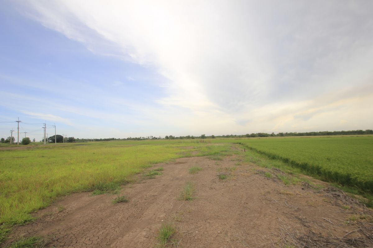 ขายที่ดินอยุธยา : ขายที่ดินบางไทรพระนครศรีอยุธยา น้ำไม่ท่วม ถนนปทุมธานีสามโคกเสนา ที่ดินถมแล้ว 6-3-11.5ไร่ ใกล้นิคมบ้านแพน ที่ดินสร้างบ้าน หอพัก โกดังเก็บสินค้า ศูนย์กระจายสินค้า 6,500บาท/วา