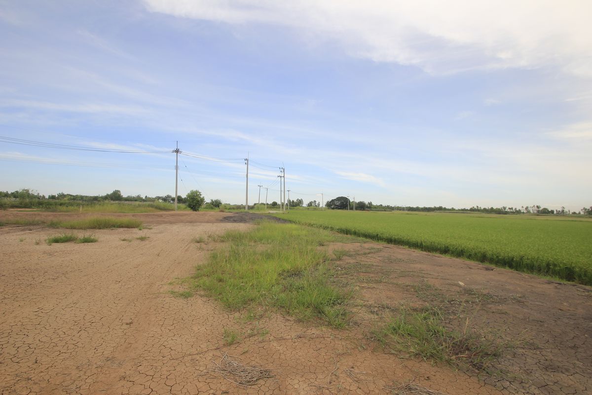 ขายที่ดินอยุธยา : ขายที่ดินบางไทรพระนครศรีอยุธยา น้ำไม่ท่วม ถนนปทุมธานีสามโคกเสนา ที่ดินถมแล้ว 6-3-11.5ไร่ ใกล้นิคมบ้านแพน ที่ดินสร้างบ้าน หอพัก โกดังเก็บสินค้า ศูนย์กระจายสินค้า 6,500บาท/วา