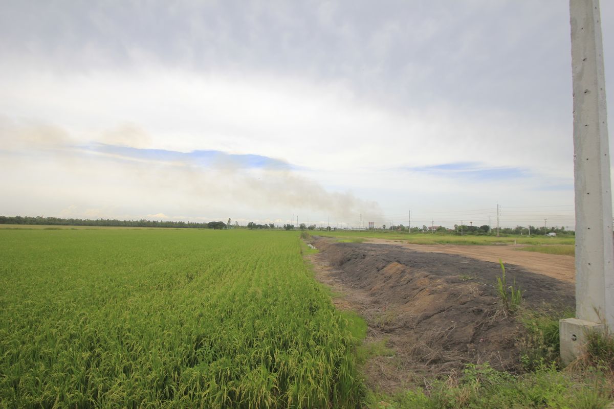 ขายที่ดินอยุธยา : ขายที่ดินบางไทรพระนครศรีอยุธยา น้ำไม่ท่วม ถนนปทุมธานีสามโคกเสนา ที่ดินถมแล้ว 6-3-11.5ไร่ ใกล้นิคมบ้านแพน ที่ดินสร้างบ้าน หอพัก โกดังเก็บสินค้า ศูนย์กระจายสินค้า 6,500บาท/วา