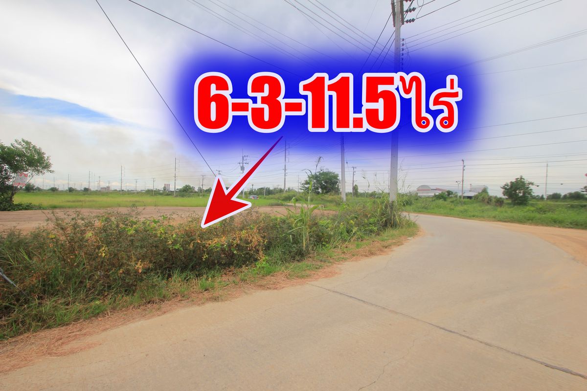 ขายที่ดินอยุธยา : ขายที่ดินบางไทรพระนครศรีอยุธยา น้ำไม่ท่วม ถนนปทุมธานีสามโคกเสนา ที่ดินถมแล้ว 6-3-11.5ไร่ ใกล้นิคมบ้านแพน ที่ดินสร้างบ้าน หอพัก โกดังเก็บสินค้า ศูนย์กระจายสินค้า 6,500บาท/วา