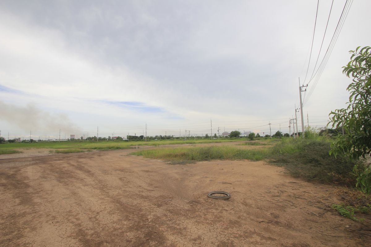 ขายที่ดินอยุธยา : ขายที่ดินบางไทรพระนครศรีอยุธยา น้ำไม่ท่วม ถนนปทุมธานีสามโคกเสนา ที่ดินถมแล้ว 6-3-11.5ไร่ ใกล้นิคมบ้านแพน ที่ดินสร้างบ้าน หอพัก โกดังเก็บสินค้า ศูนย์กระจายสินค้า 6,500บาท/วา