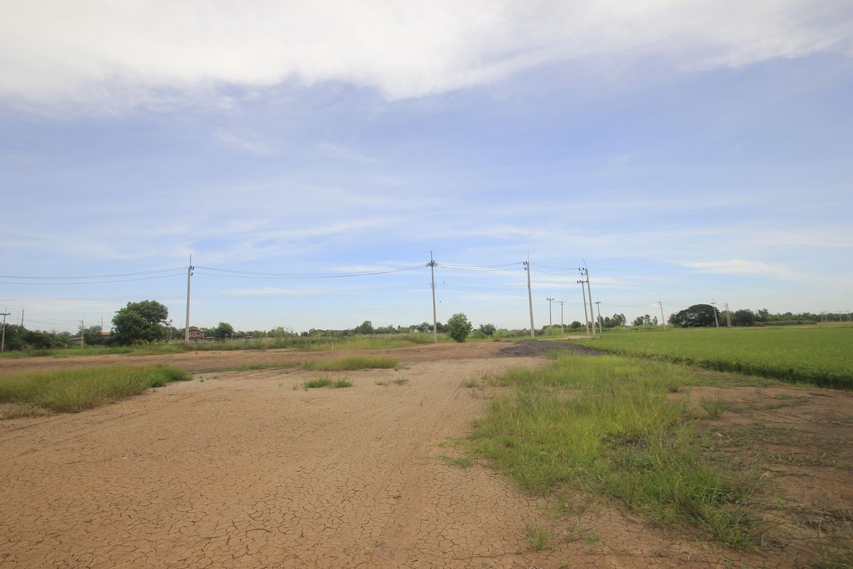 ขายที่ดินอยุธยา : ขายที่ดินบางไทรพระนครศรีอยุธยา น้ำไม่ท่วม ถนนปทุมธานีสามโคกเสนา ที่ดินถมแล้ว 6-3-11.5ไร่ ใกล้นิคมบ้านแพน ที่ดินสร้างบ้าน หอพัก โกดังเก็บสินค้า ศูนย์กระจายสินค้า 6,500บาท/วา