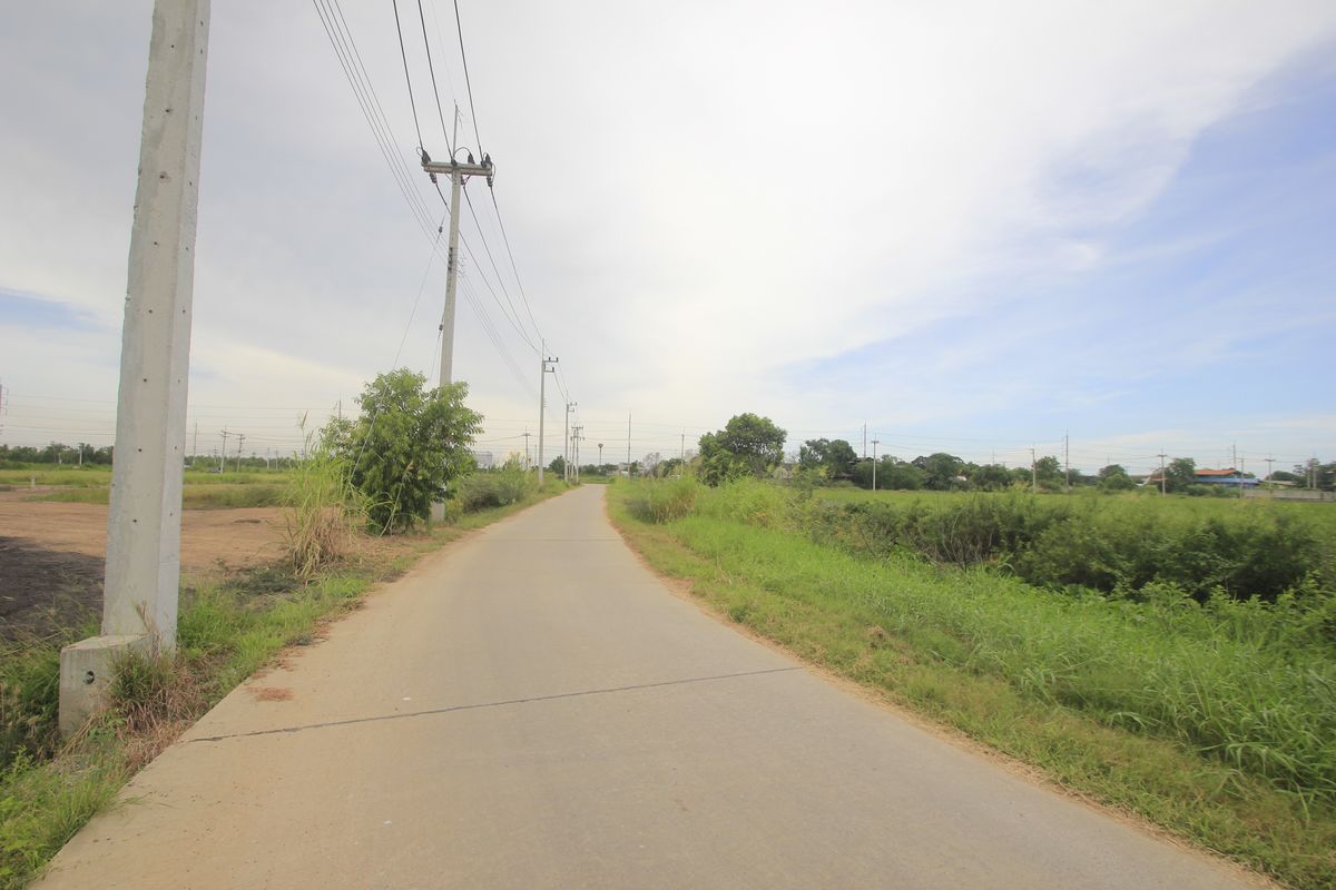 ขายที่ดินอยุธยา : ขายที่ดินบางไทรพระนครศรีอยุธยา น้ำไม่ท่วม ถนนปทุมธานีสามโคกเสนา ที่ดินถมแล้ว 6-3-11.5ไร่ ใกล้นิคมบ้านแพน ที่ดินสร้างบ้าน หอพัก โกดังเก็บสินค้า ศูนย์กระจายสินค้า 6,500บาท/วา